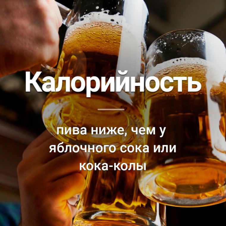 Приколы про пиво