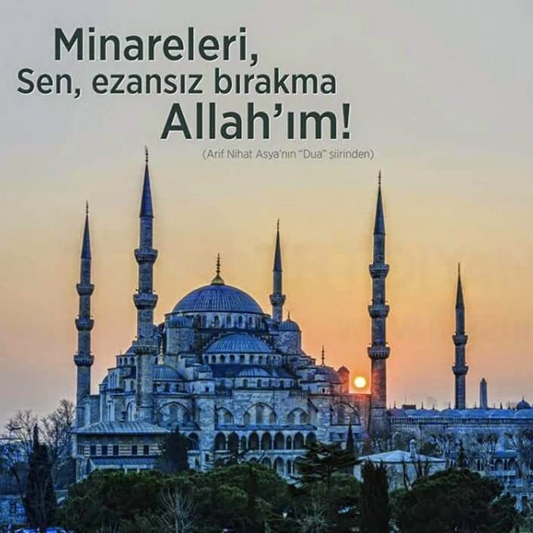 Хейли жумалар картинки