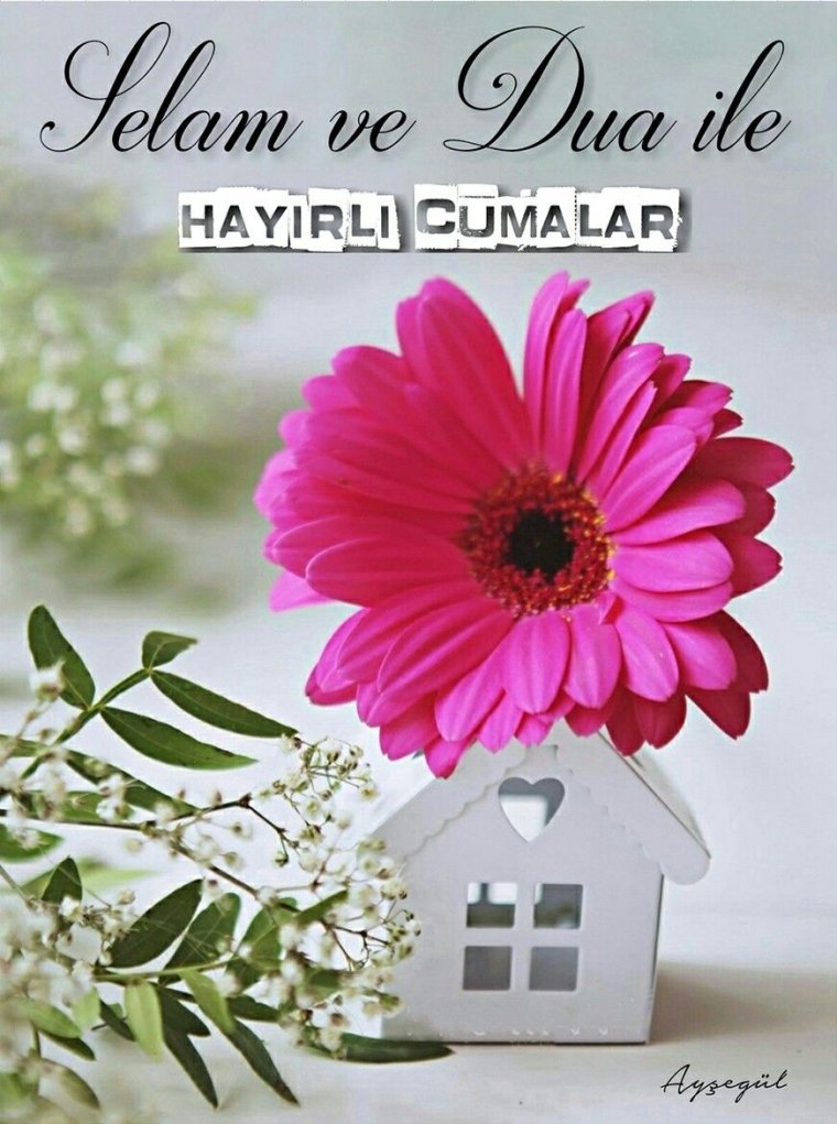 Cumaniz mübarek olsun перевод на русский