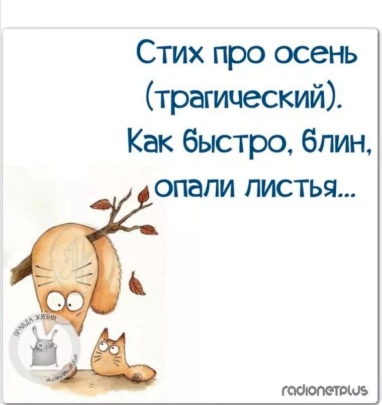 Цитаты про осень смешные