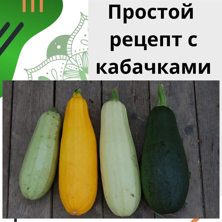 Приколы про кабачок шутки