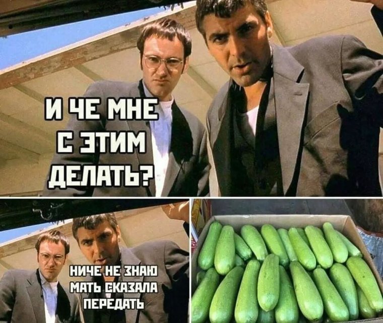 Мемы про кабачки