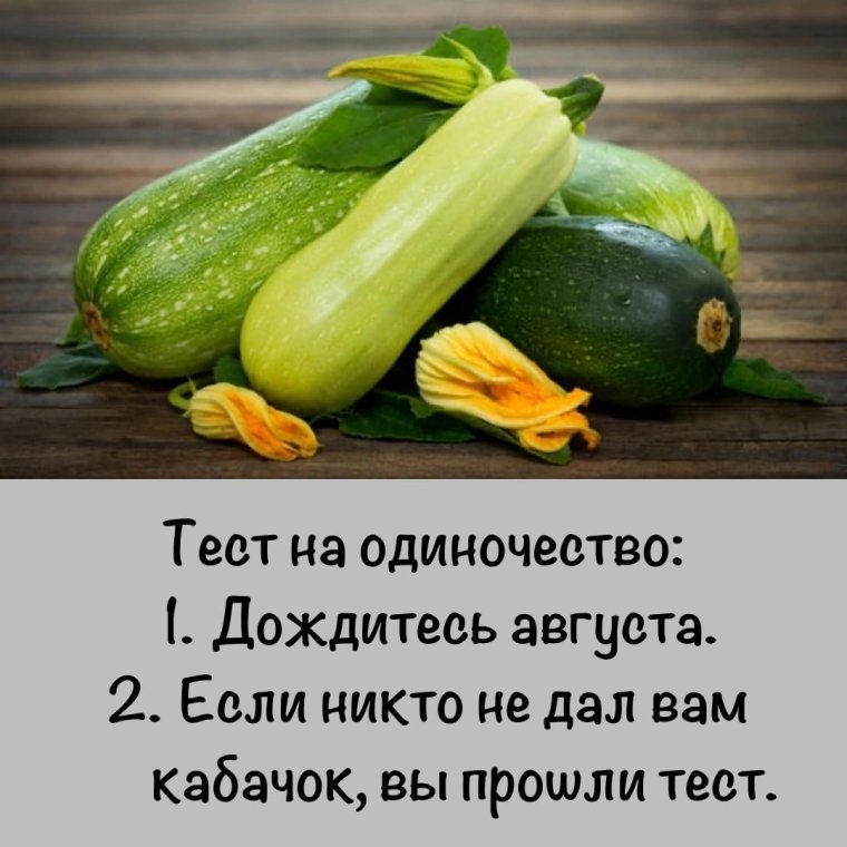 Зелёный кабачок и белый чем отличается