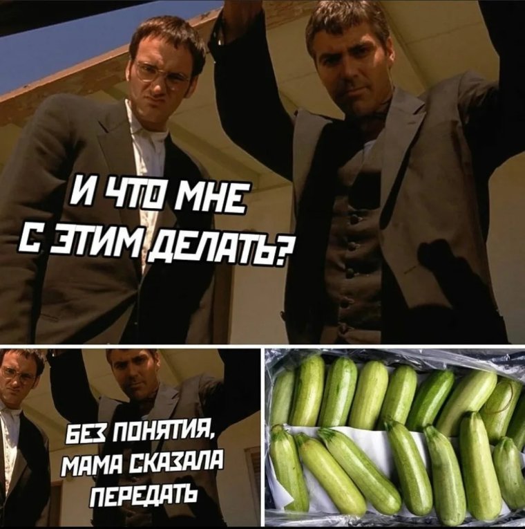 Смешной кабачок