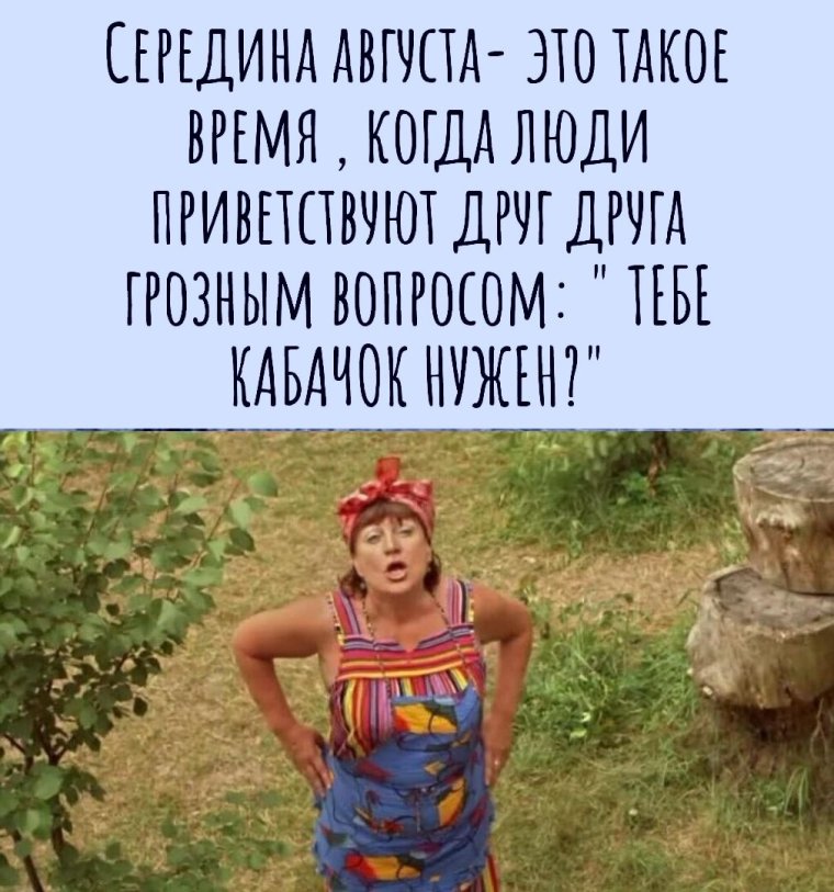 Приколы про кабачки