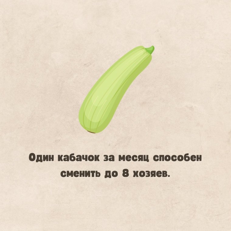 Факты о кабачках