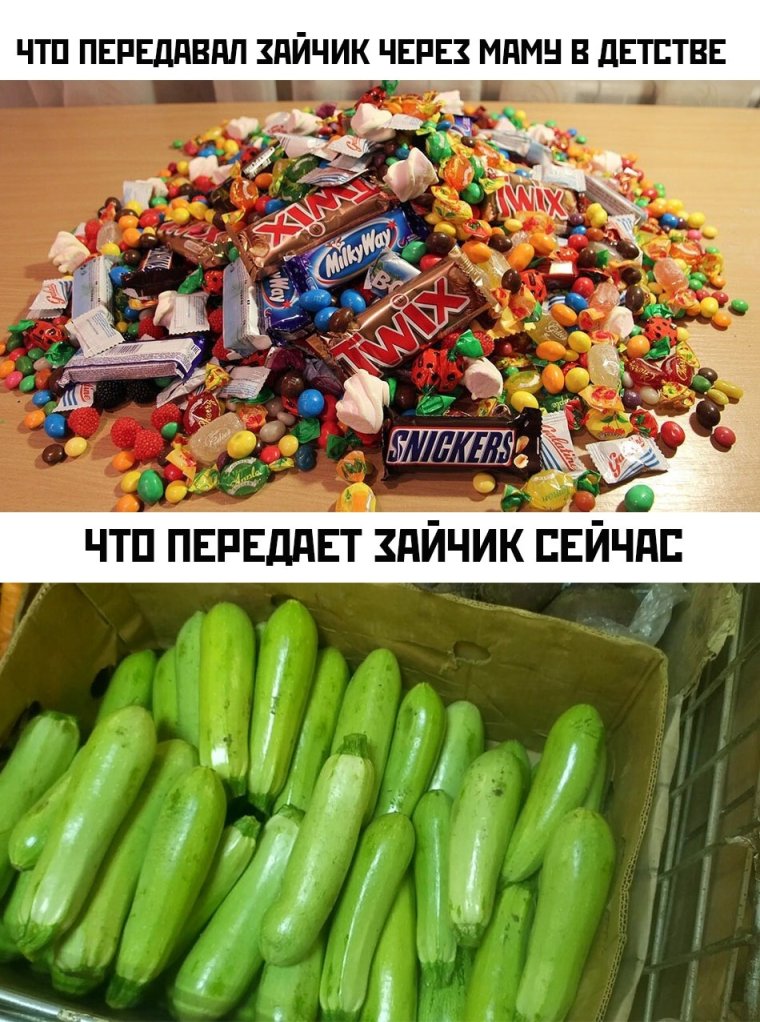 Мемы про кабачки 2021
