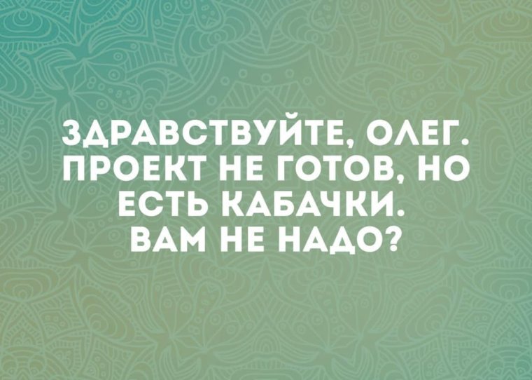 Оля тыква 2022