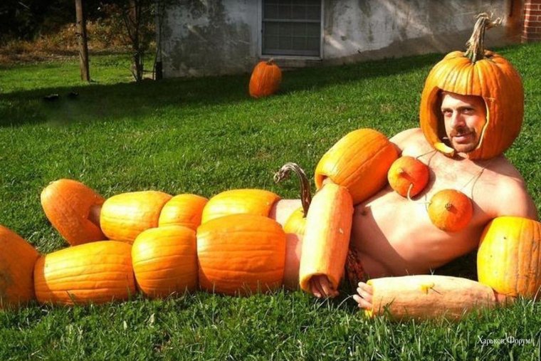 Огурцы пошли