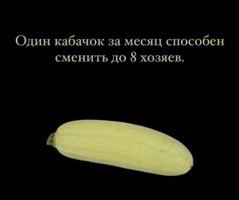 Держи кабачок