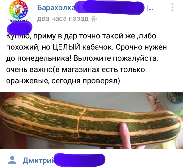 Шутки про кабачки