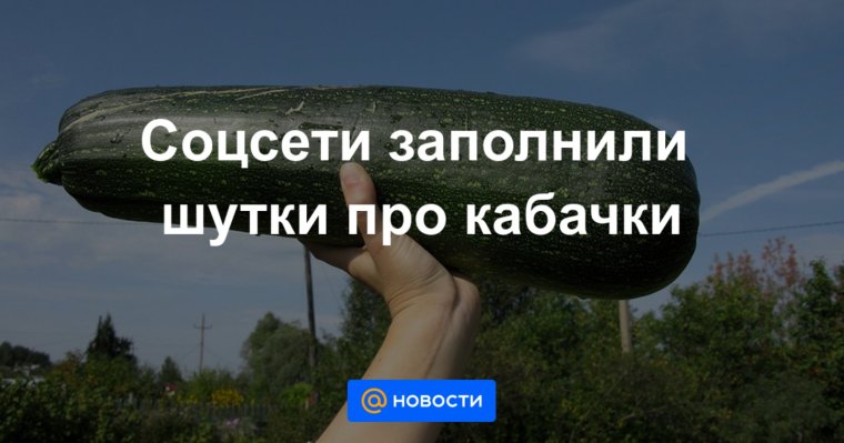 Шутки про кабачки