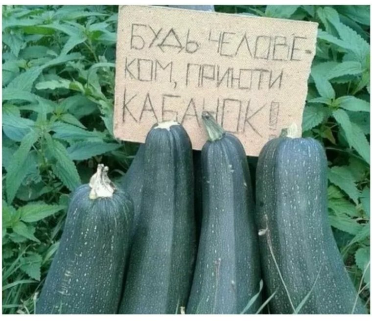 Смешные картинки