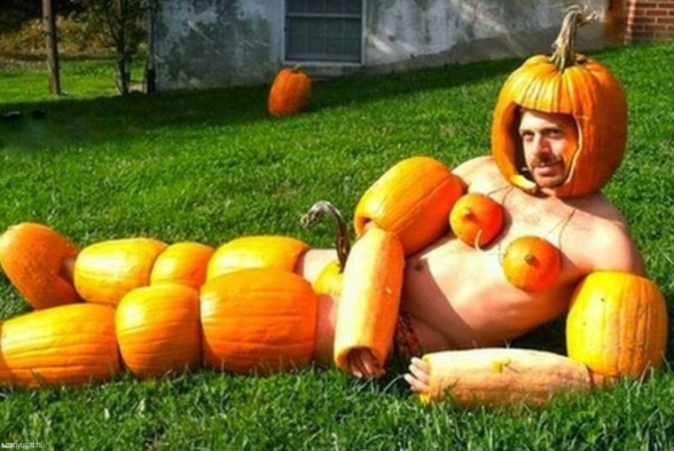 Огромный кабачок