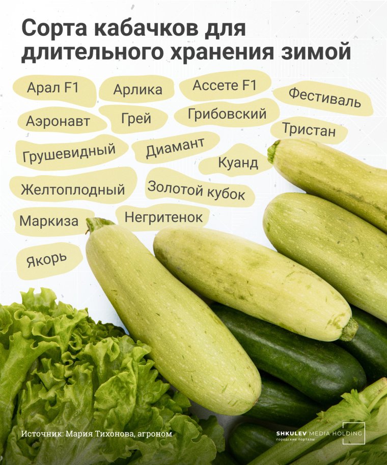 Тест на одиночество кабачок