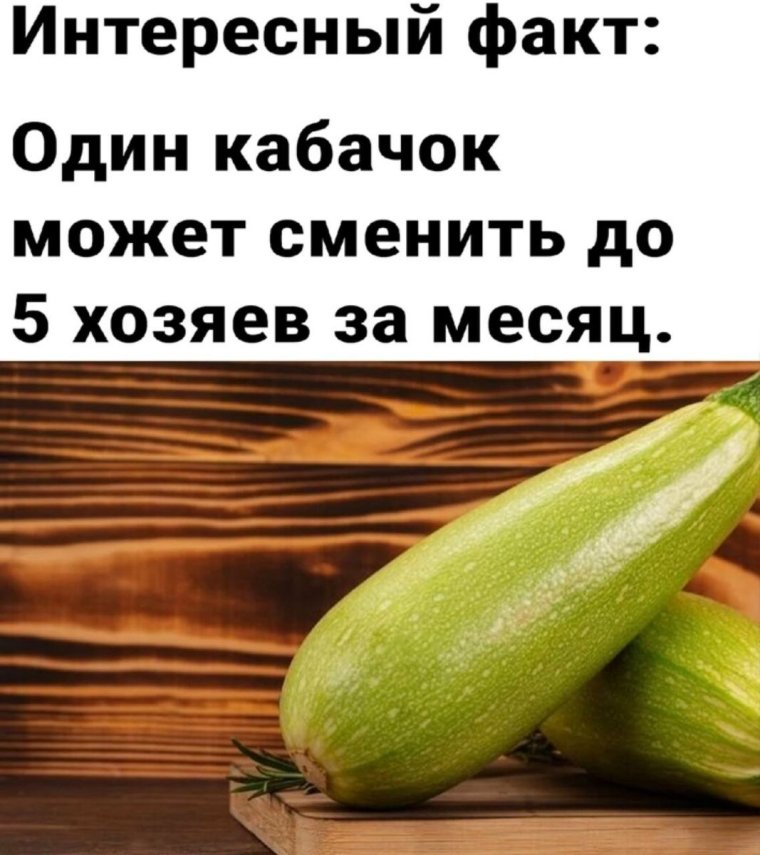 Шутки про кабачки