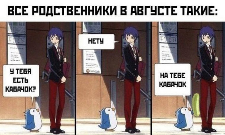 Самый большой кабачок