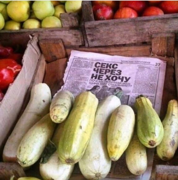 Приколы про кабачки