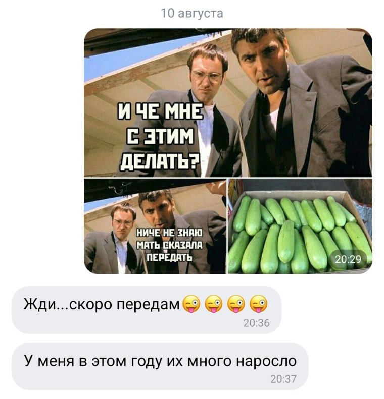 Мемы про кабачок нужен