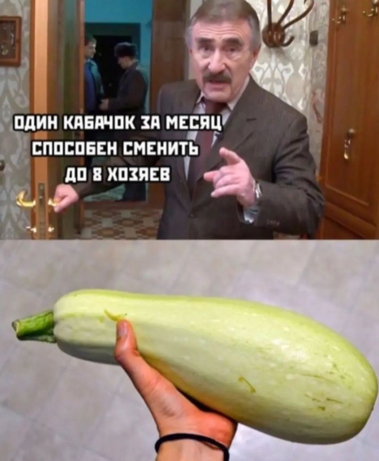 У кабачка Виталия замерзла гениталия