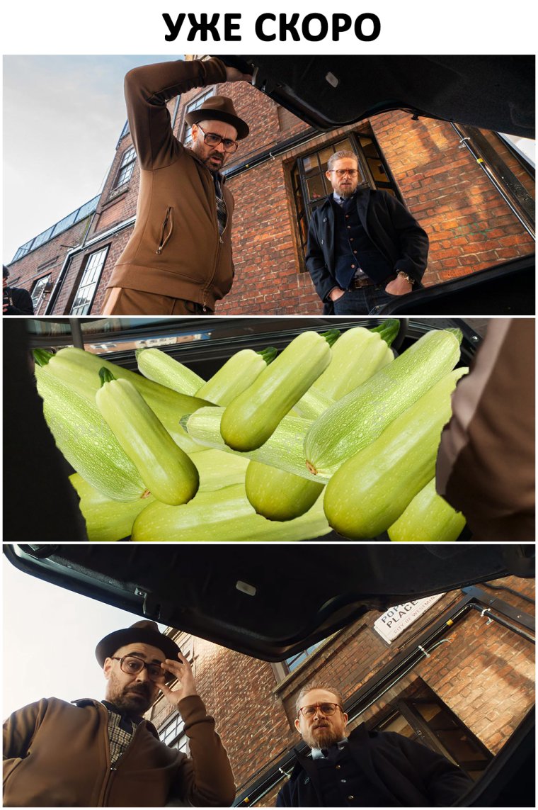 Мемы про кабачки