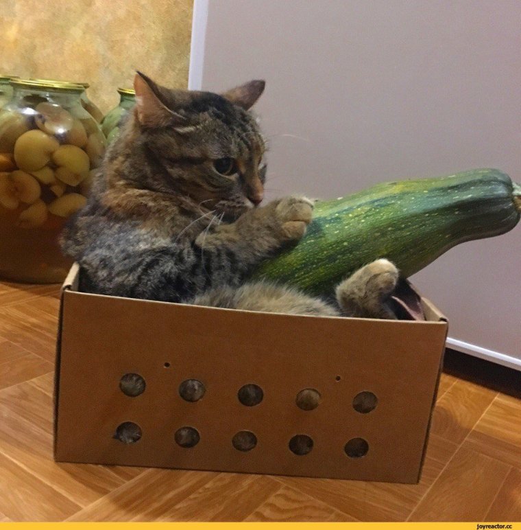 Сидите с пацанами кайфуете