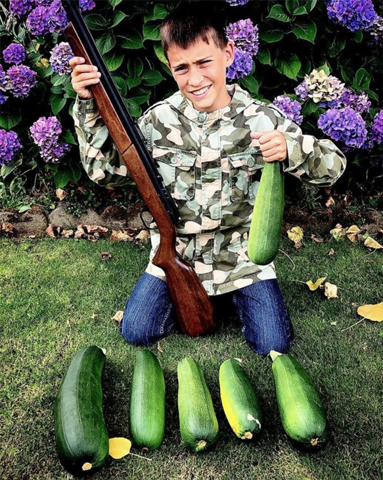 Необычный кабачок