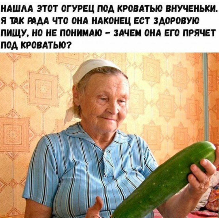 Интел юмор высказывания