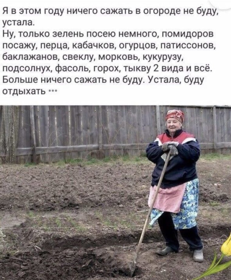 Сияние фото Николсон