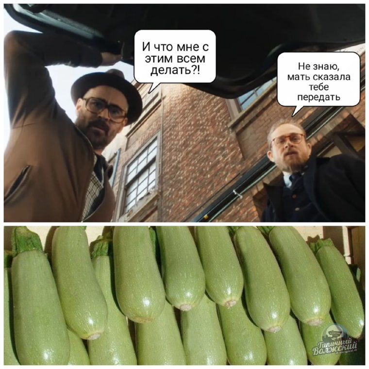Мем про кабачки
