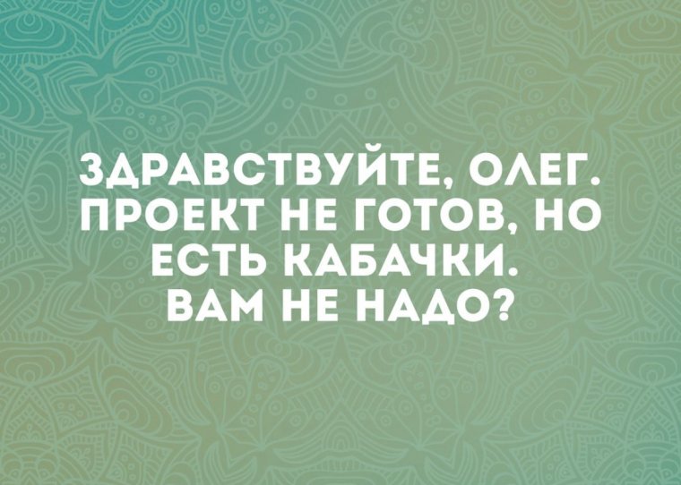 Кабачок смешное фото