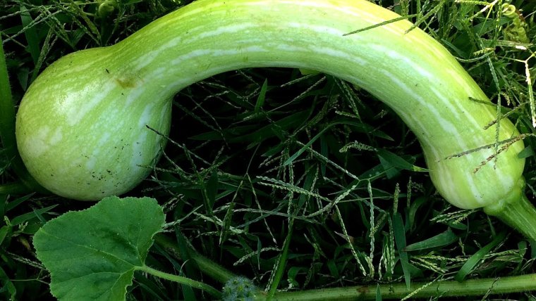 Мем последний понедельник лета доброе утро