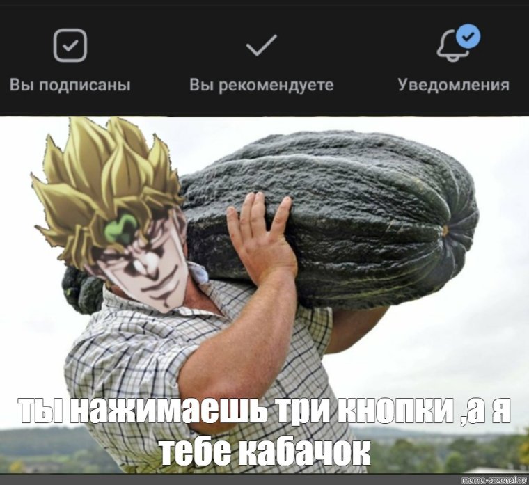 Сорта кабачков для длительного хранения