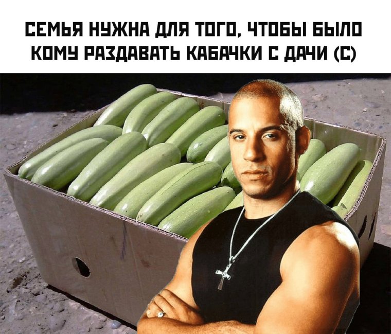 Кабачок нужен прикол