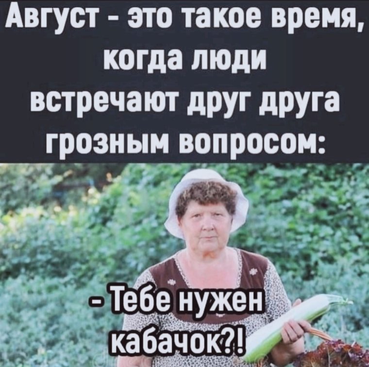 Нужен кабачок Мем