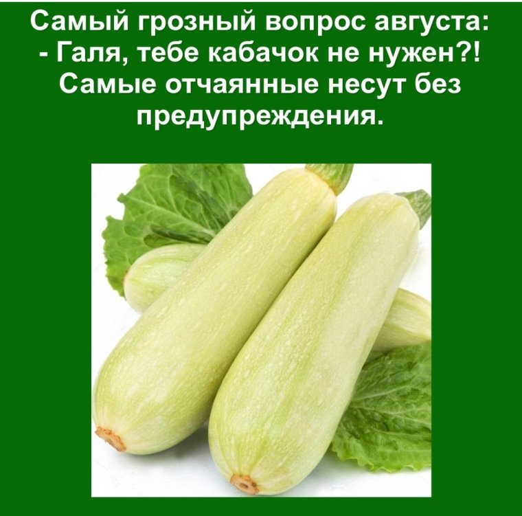 Приколы про кабачки