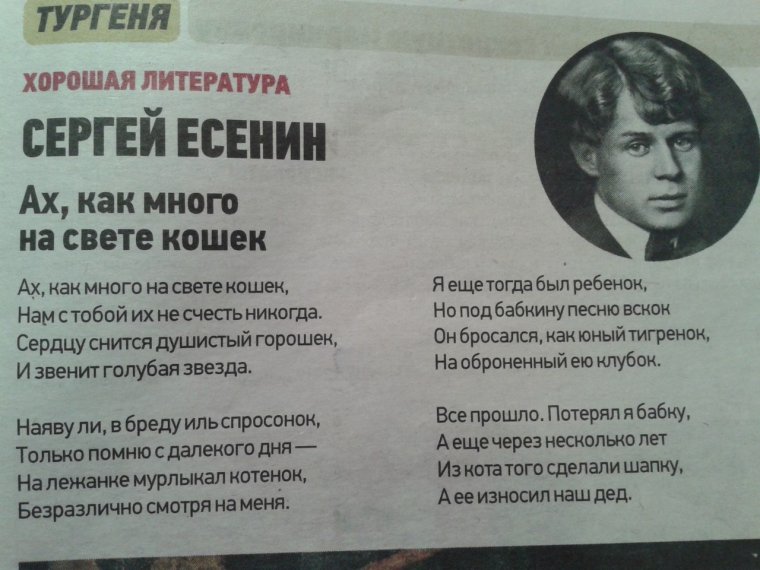 Стихи с матами великих поэтов