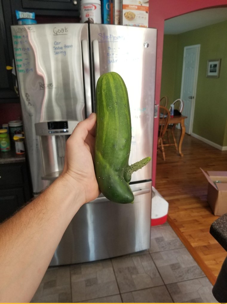 Смешной огурец фото
