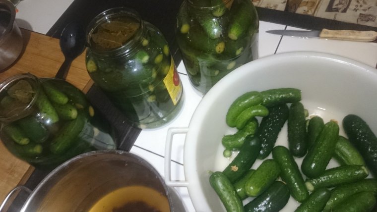 Солёные огурцы весёлые