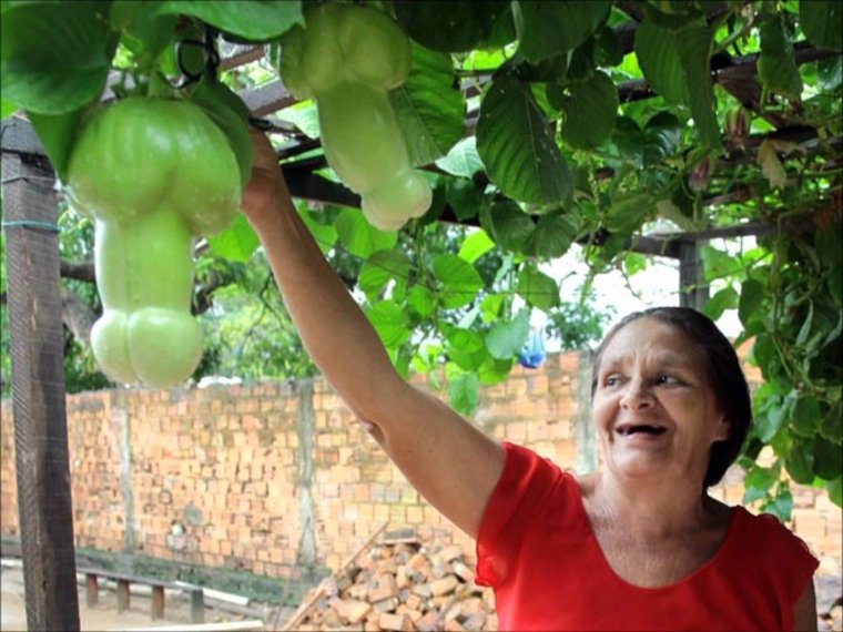 Когда огурец прикол