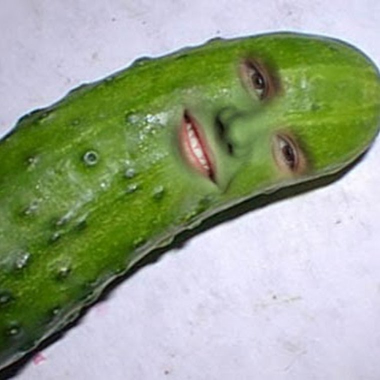 Кот огурчик