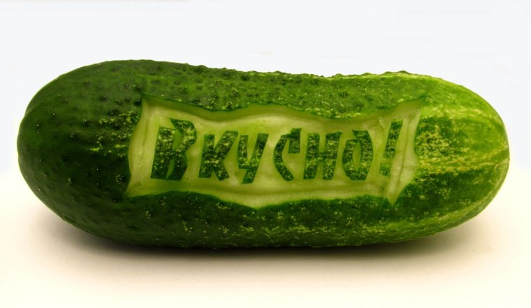 Котики и огурцы