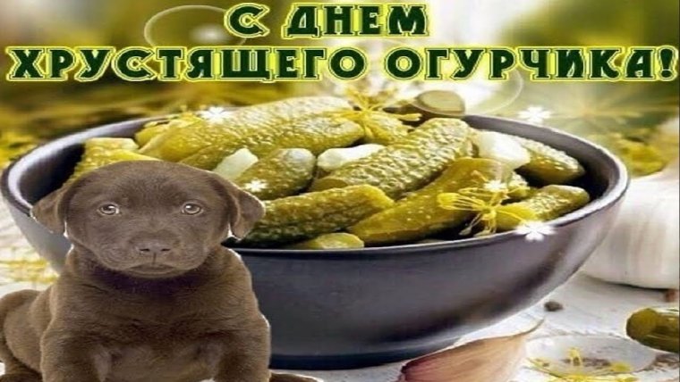 С днем молольного огкрчика