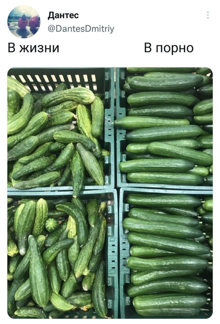 Приколы про кабачки