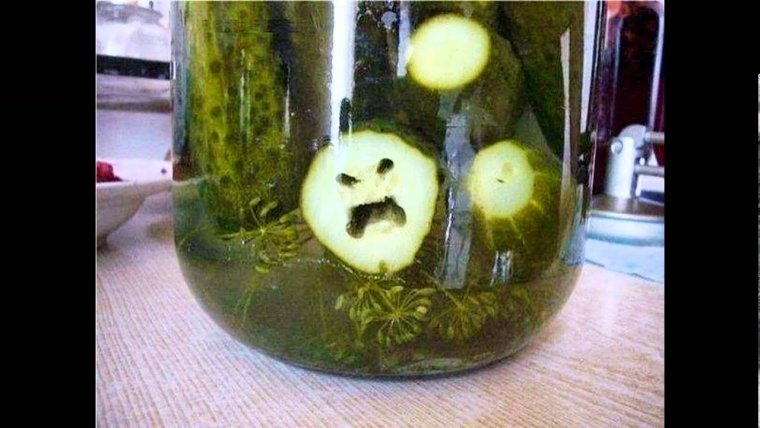 Живой огурец