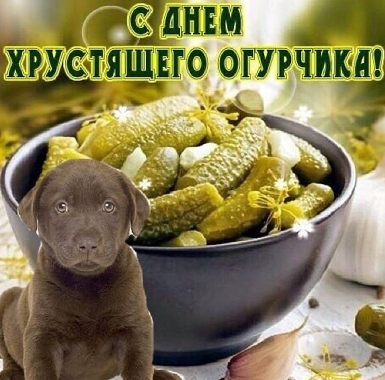 С днём хрустящего огурчика