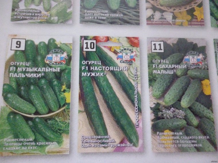 Цветок в форме женщины