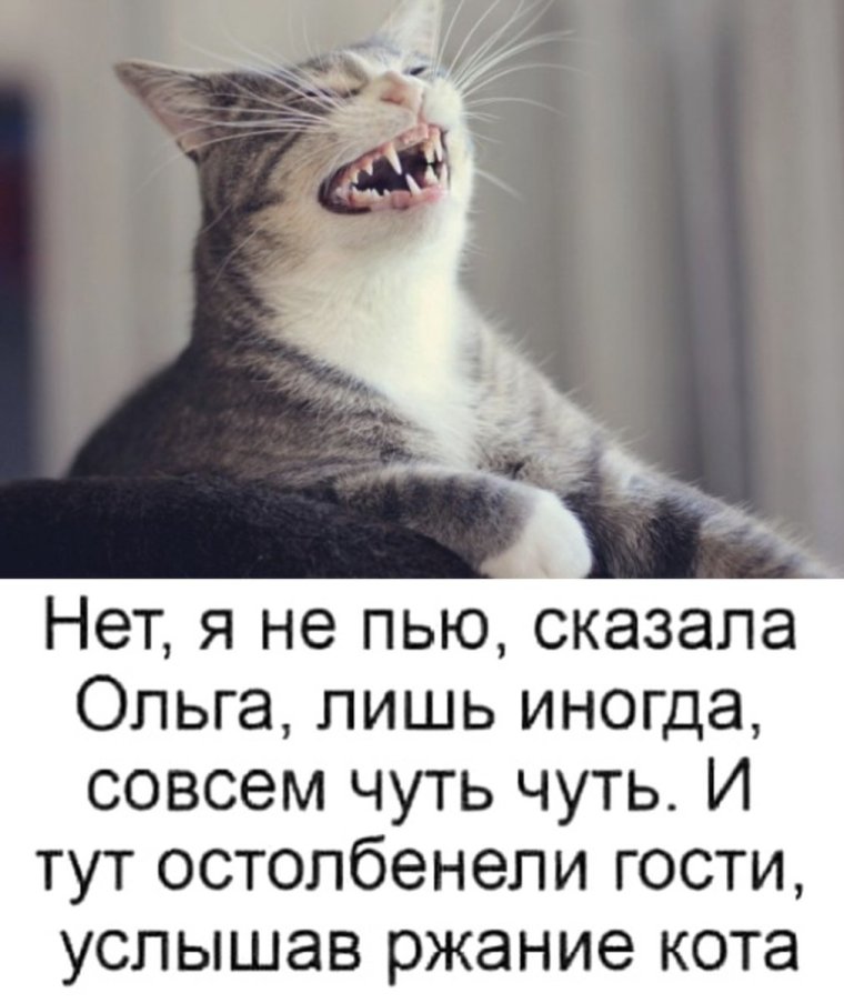 Нет я не пью сказала Ольга