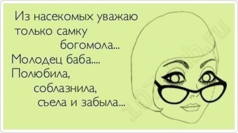 Анекдоты про бухгалтеров