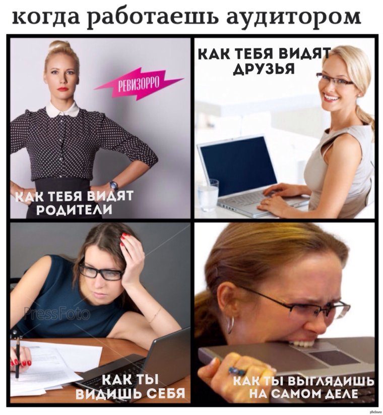 Шутки про аудиторов